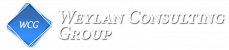 Weylan Consulting Group